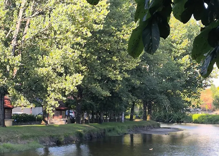 Aromas Do Vouga * São Pedro do Sul